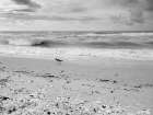Black and white Beach-Sanibel Island-Florida-USA Art Print